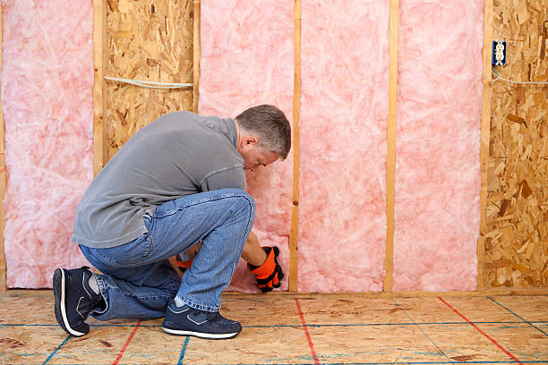 Insulation Repair Services in Allendale, CA